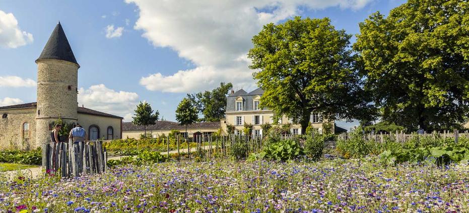 Château Guiraud
