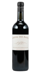 ARGENTINIË Cheval des Andes 22