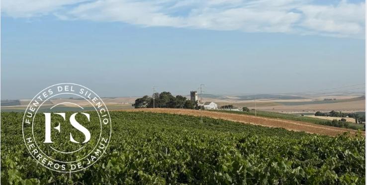 Pazzo Mania x Qualivino